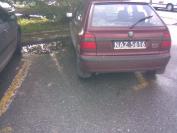 http://nieumiemparkowac.pl