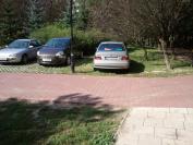 http://nieumiemparkowac.pl