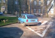 http://nieumiemparkowac.pl