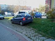 http://nieumiemparkowac.pl