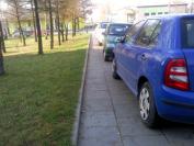 http://nieumiemparkowac.pl
