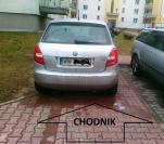 http://nieumiemparkowac.pl