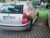http://nieumiemparkowac.pl