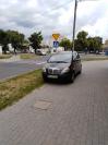 http://nieumiemparkowac.pl